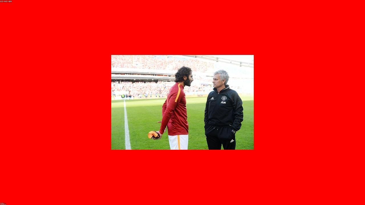 Bruno Fernandes avatar