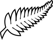 New Zealand national team crest 2026 World Cup